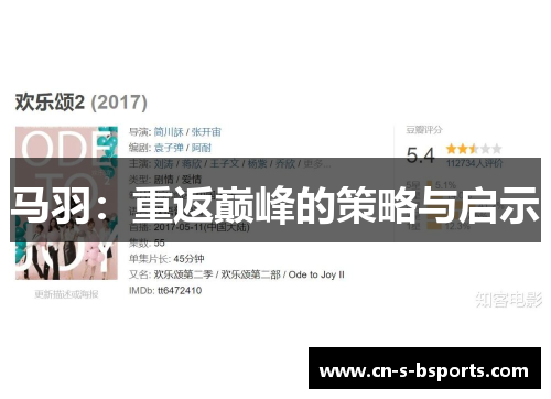 马羽：重返巅峰的策略与启示