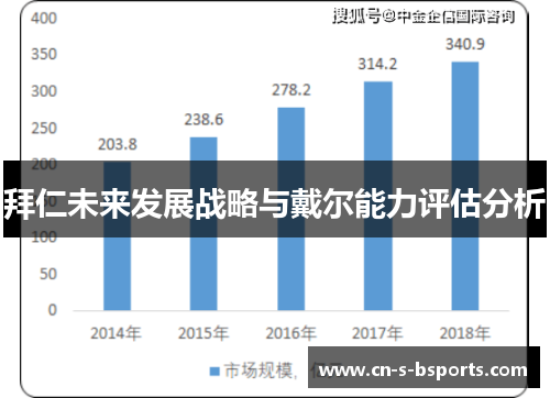拜仁未来发展战略与戴尔能力评估分析
