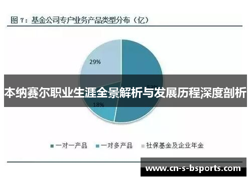 本纳赛尔职业生涯全景解析与发展历程深度剖析