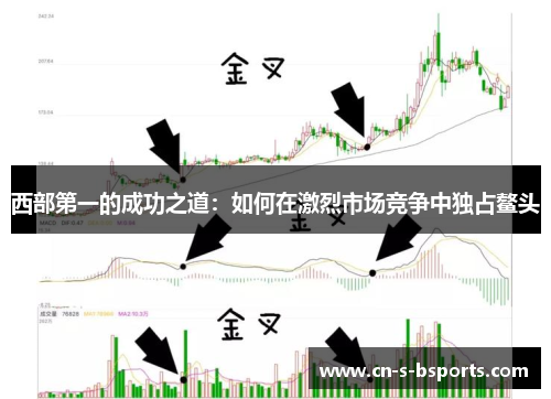 西部第一的成功之道：如何在激烈市场竞争中独占鳌头