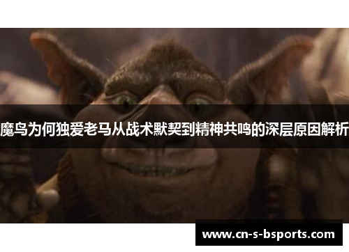 魔鸟为何独爱老马从战术默契到精神共鸣的深层原因解析