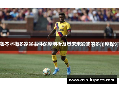 鲁本塞梅多家暴事件深度剖析及其未来影响的多角度探讨